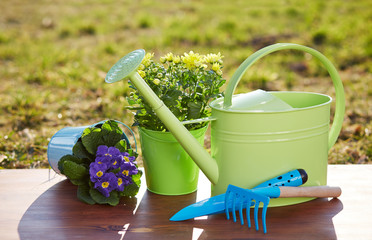 Gardening tools and flowers