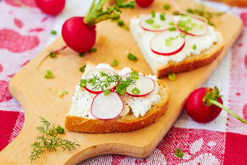 Fototapeta na wymiar Sandwich with cottage cheese and radish