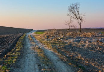 Sandy rural road and plowed fields