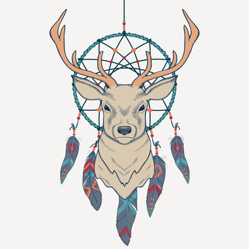 Vector illustration with deer and dream catcher