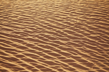 texture of sand in the desert from the winds
