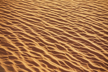 texture of sand in the desert from the winds
