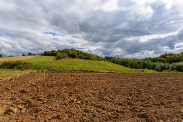 Farming field in summer landscape of Poland near Krakow