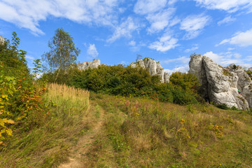 Summer landscape with limestone rocks near Krakow, Poland