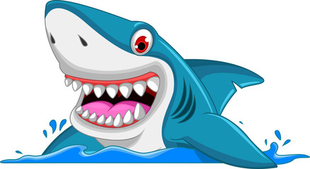 angry shark cartoon - 80102253