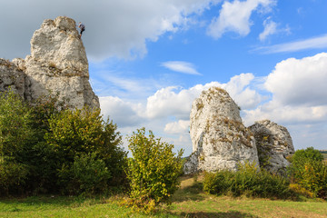 Summer landscape with limestone rocks near Krakow, Poland