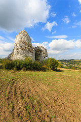 Fototapeta na wymiar Summer landscape with limestone rocks near Krakow, Poland