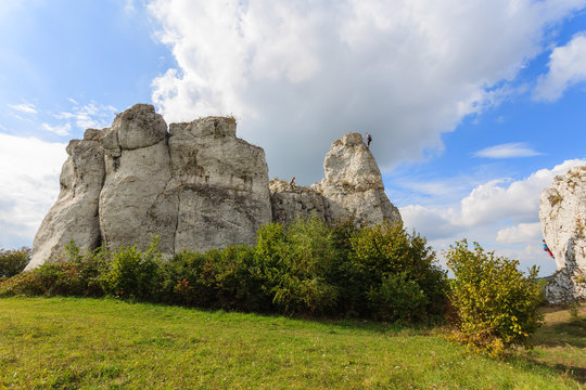 Summer landscape with limestone rocks near Krakow, Poland