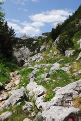 Durmitor