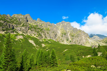 Summer landscape of Tatra Mountains in 5 lakes valley, Slovakia
