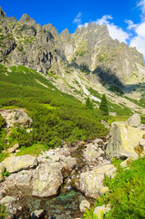Summer landscape of Tatra Mountains in 5 lakes valley, Slovakia