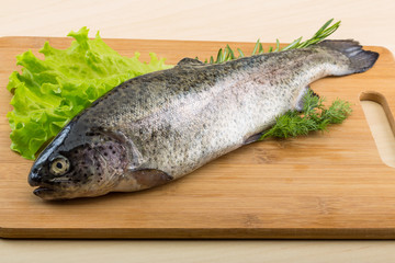 Raw fresh trout