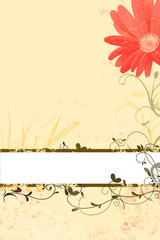Frühling Hintergrund mit Blüte und leerem Text-Feld
