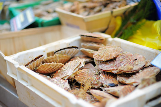 Fresh seafood for sale on fish market