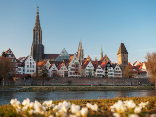 Ulm an der Donau