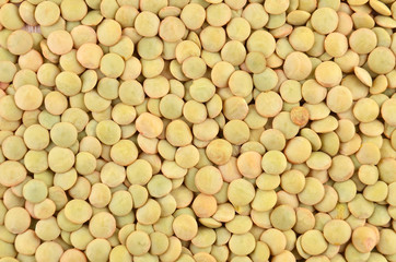 Close up of dried green lentil background