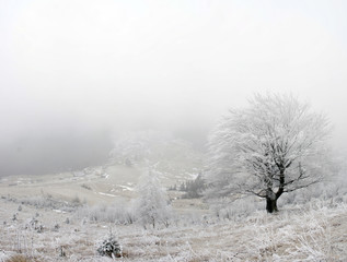 winter calm mountain landscape