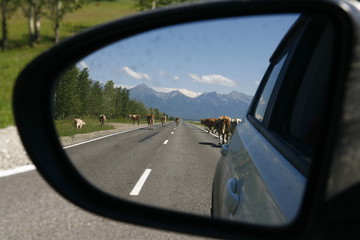 Reflection of the road in the car mirror.