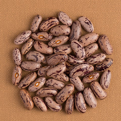 Circle of pinto beans