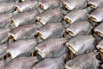 Sun dried fish before cooking sell in the market in thailand