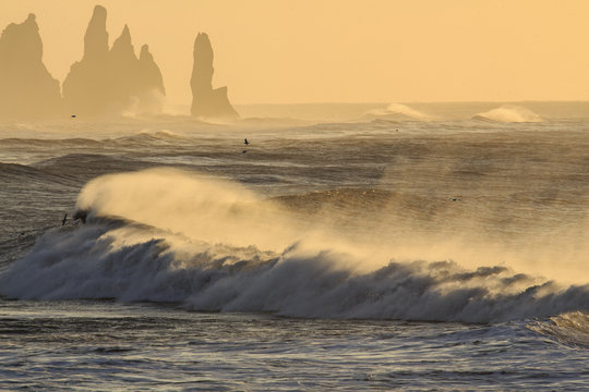 Il mare in Islanda: spiaggia nera di Vik al tramonto