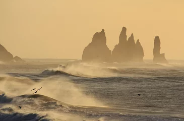 Rideaux velours Cercle polaire  Islanda: spiaggia nera di Vik