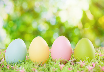 egg color