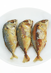 3 Fried Mackerel on white background , burnt and scorched cancer