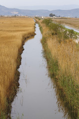 Tarragona. Delta del Ebre