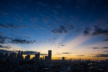 東京の朝