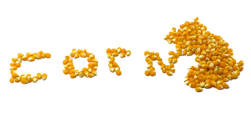 corn seeds make word