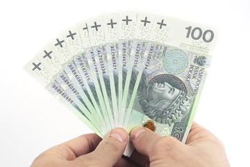 1000 polish money