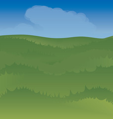 background of sky and boundless green grass