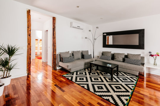 Cozy Modern Living Room