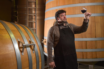 Winemaker tasting wine amongst oak casks.