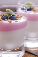Delicious dessert, flakes flooded in two flavors yogurt with blu