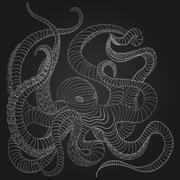 Octopus