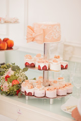 Fototapeta na wymiar wedding fruit cake