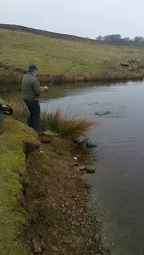 reeling in the fish