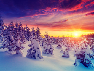 Amazing winter in the mountains