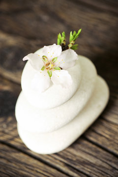 Pile of white massage stones