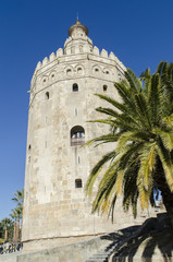Fototapeta na wymiar Torre del Oro, Sevilla. España.