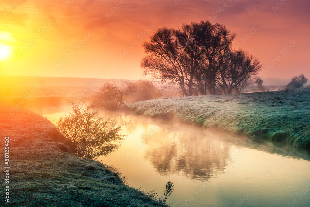 Canvas Prints amazing landscape at sunrise