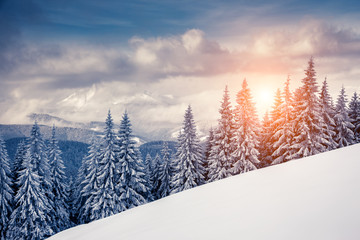 Amazing winter in the mountains