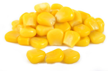 canned corn isolated on the white background