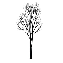 Trees with dead branch