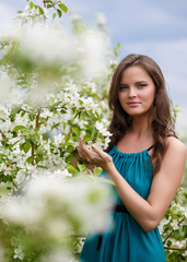Beautiful, young, the girl with flowers of an apple-tree