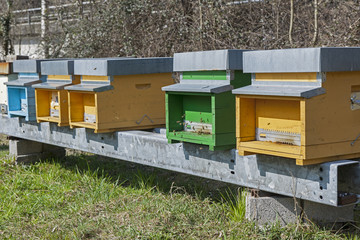 Bienenk&auml;sten im Tessin, Schweiz