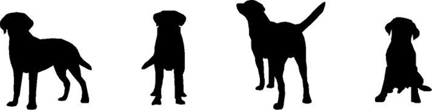 Download 6 172 Best Black Labrador Silhouette Images Stock Photos Vectors Adobe Stock
