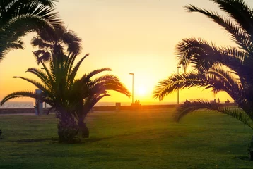 Poster Sunset in Maspalomas beach. Gran Canaria. Canary islands © Valery Bareta